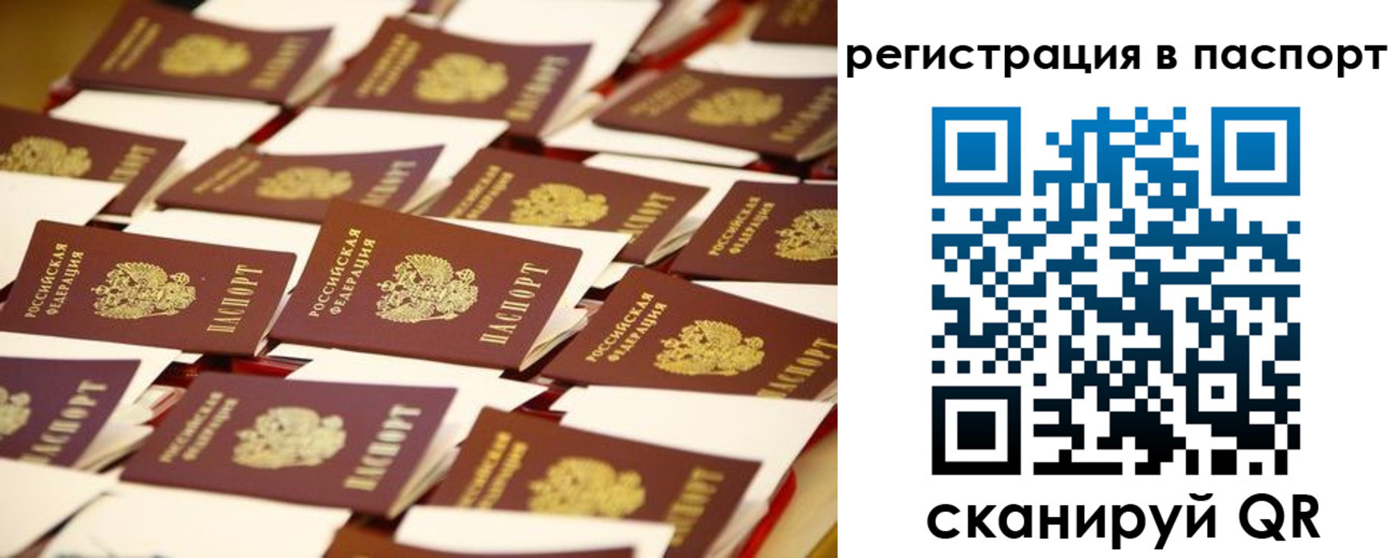 прописка гарантия в Дорогобуже
